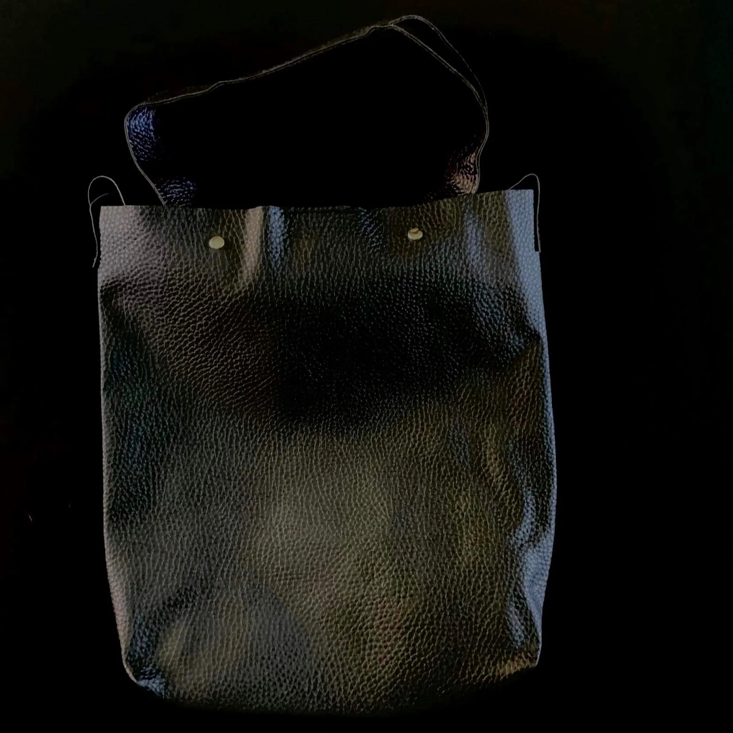 Project Bag