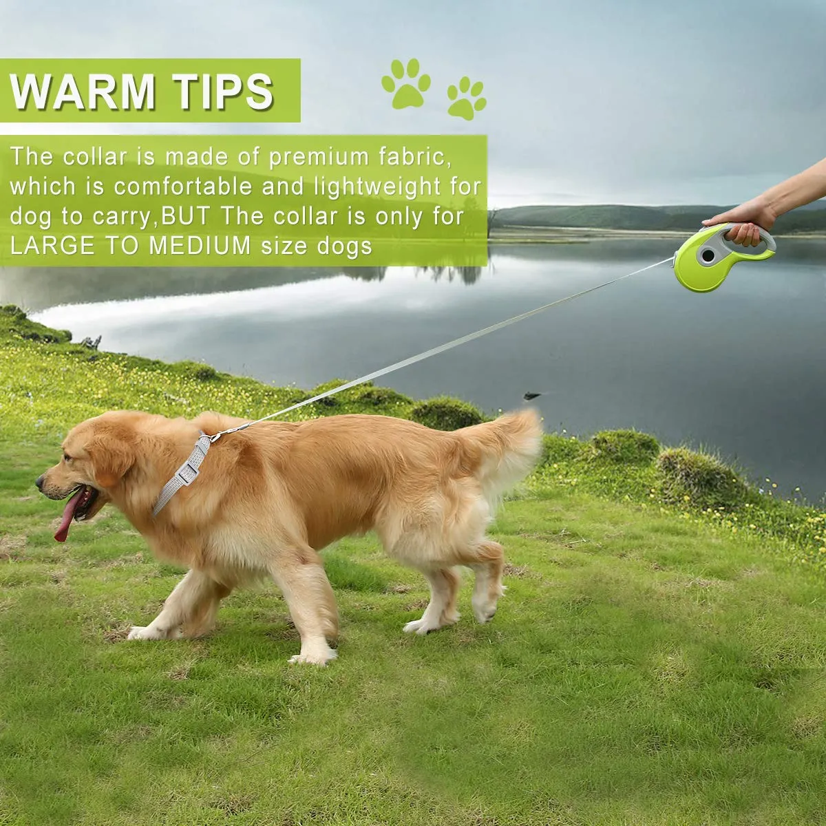 Retractable Dog Leash