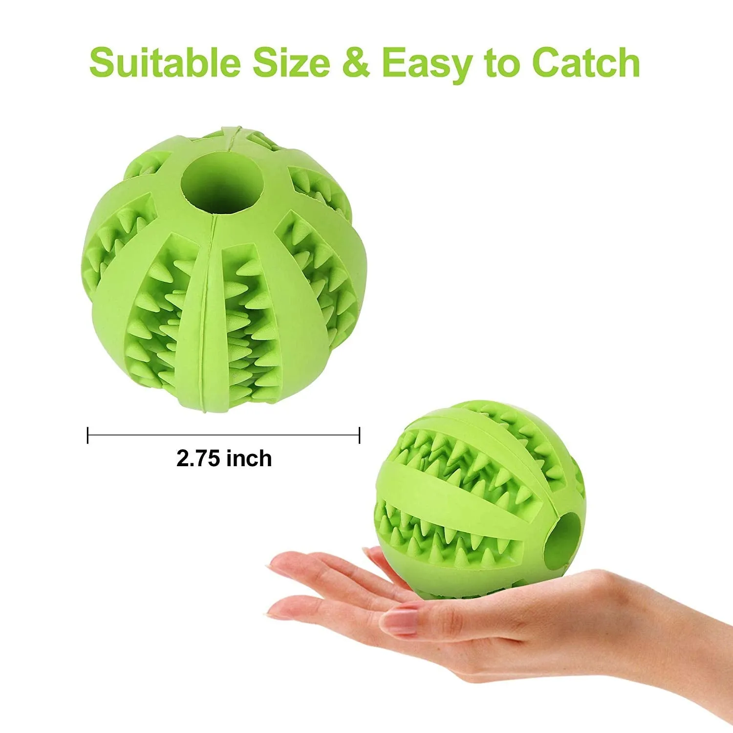 Retractable Dog Leash