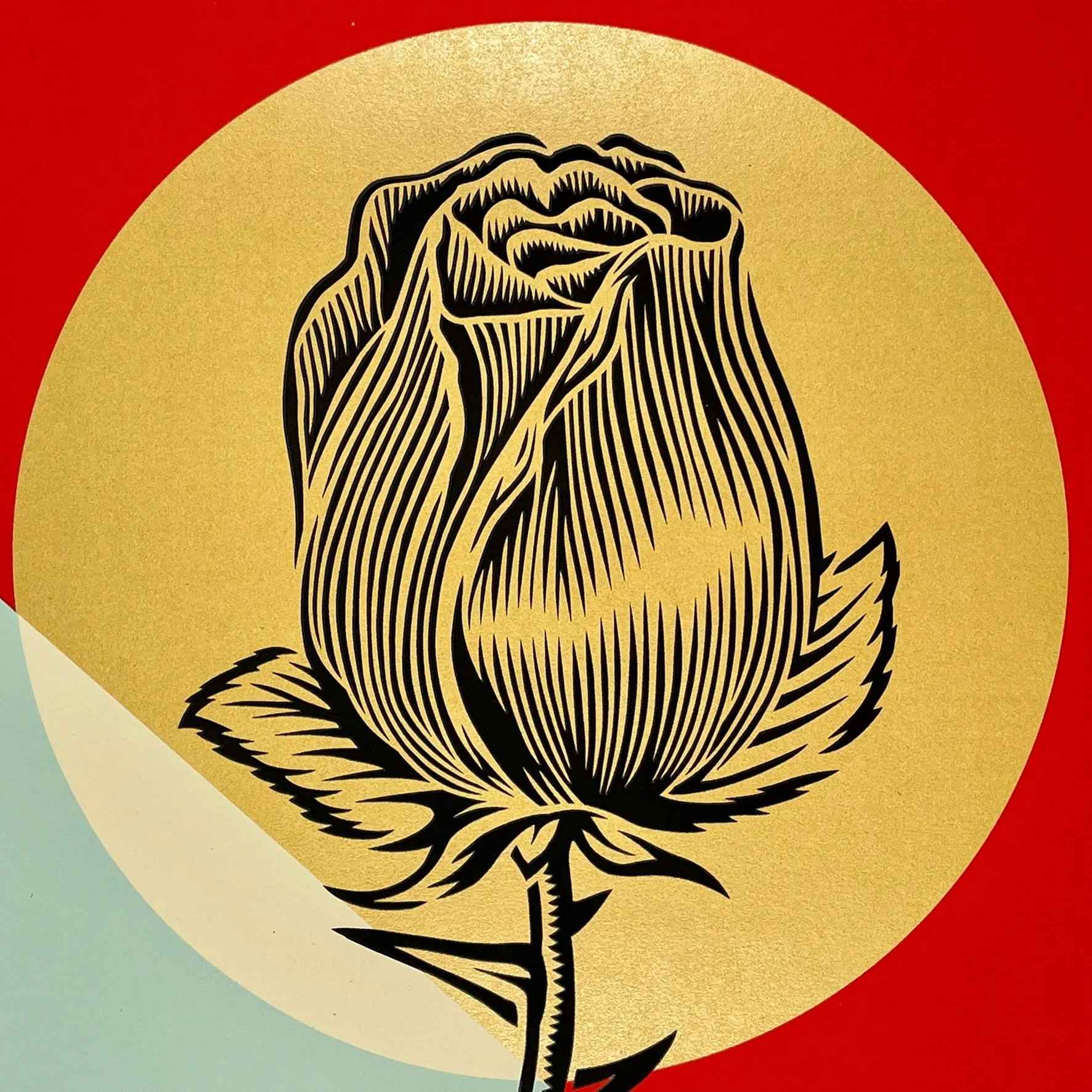 Rise Above Rose Geometric