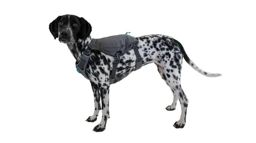 Ruffwear Switchbak Dog Harness