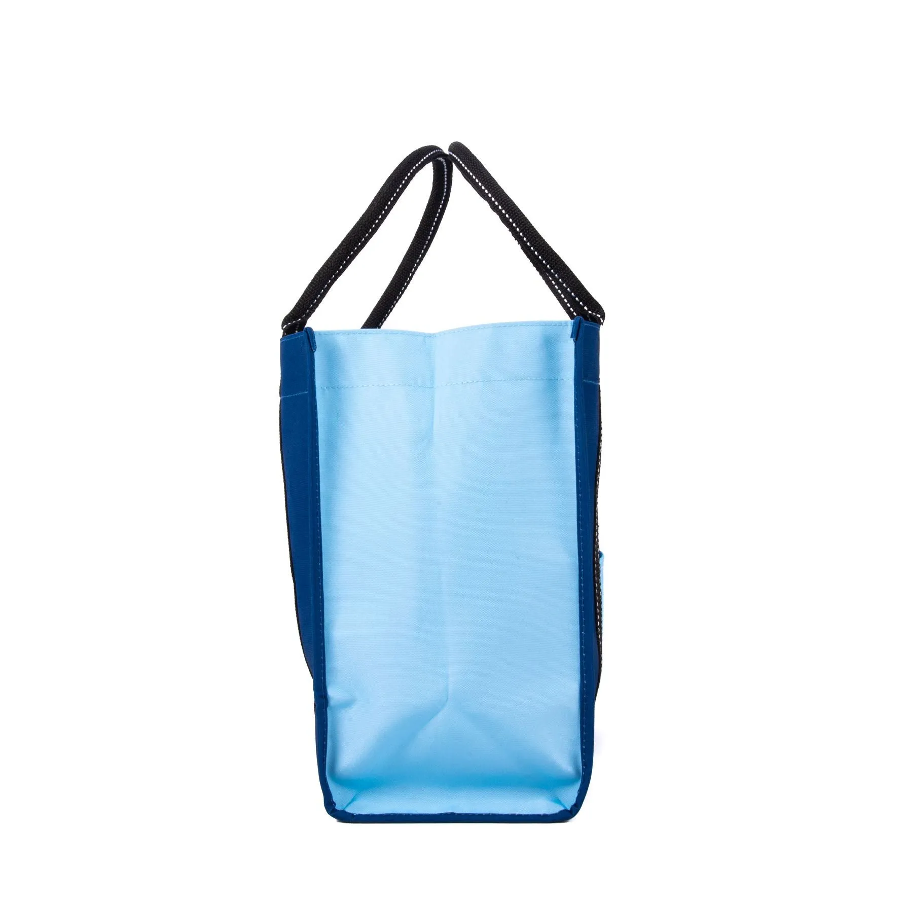 Scout Totes-Ma-Goat Block Party