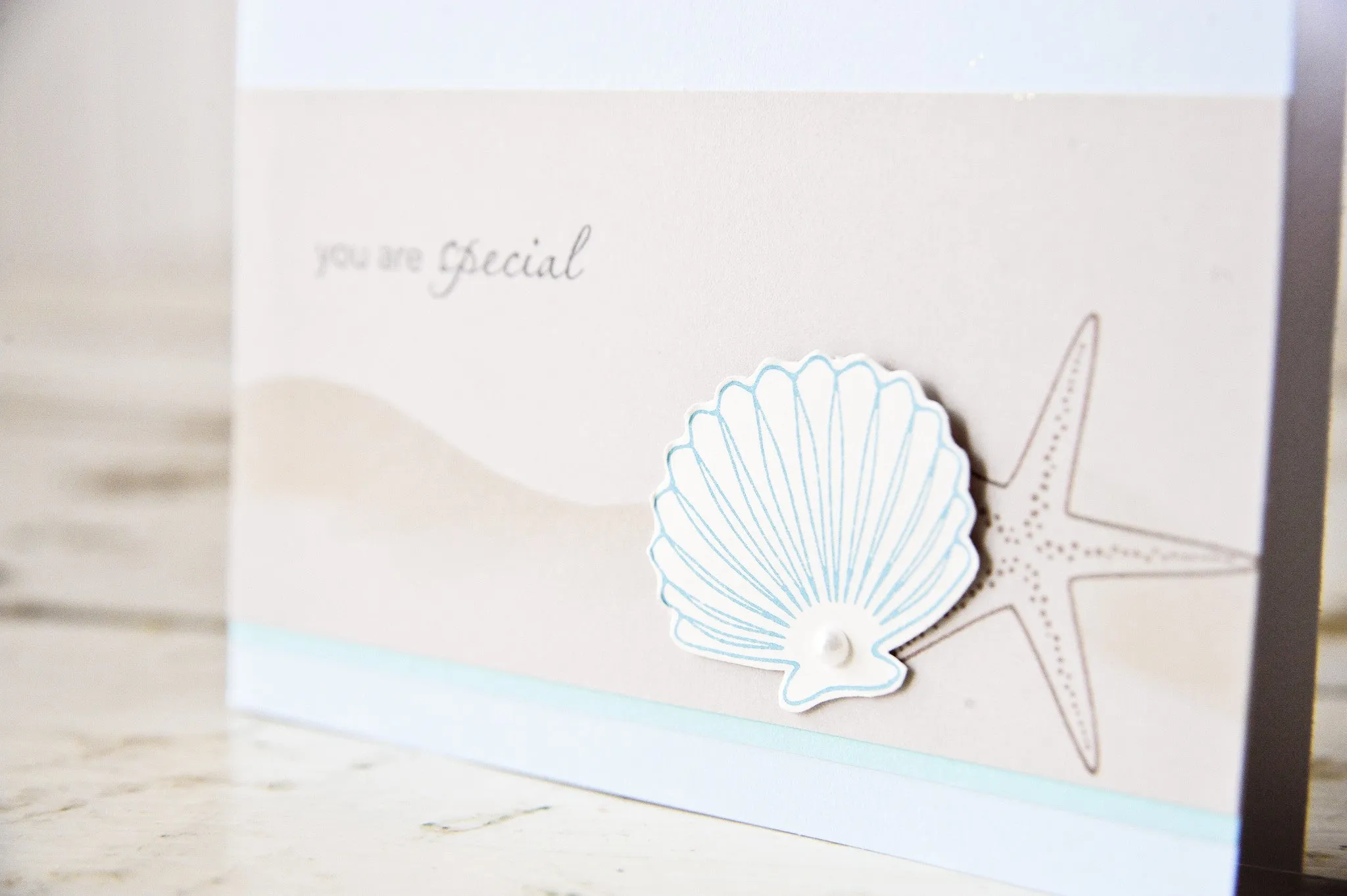 sea shells