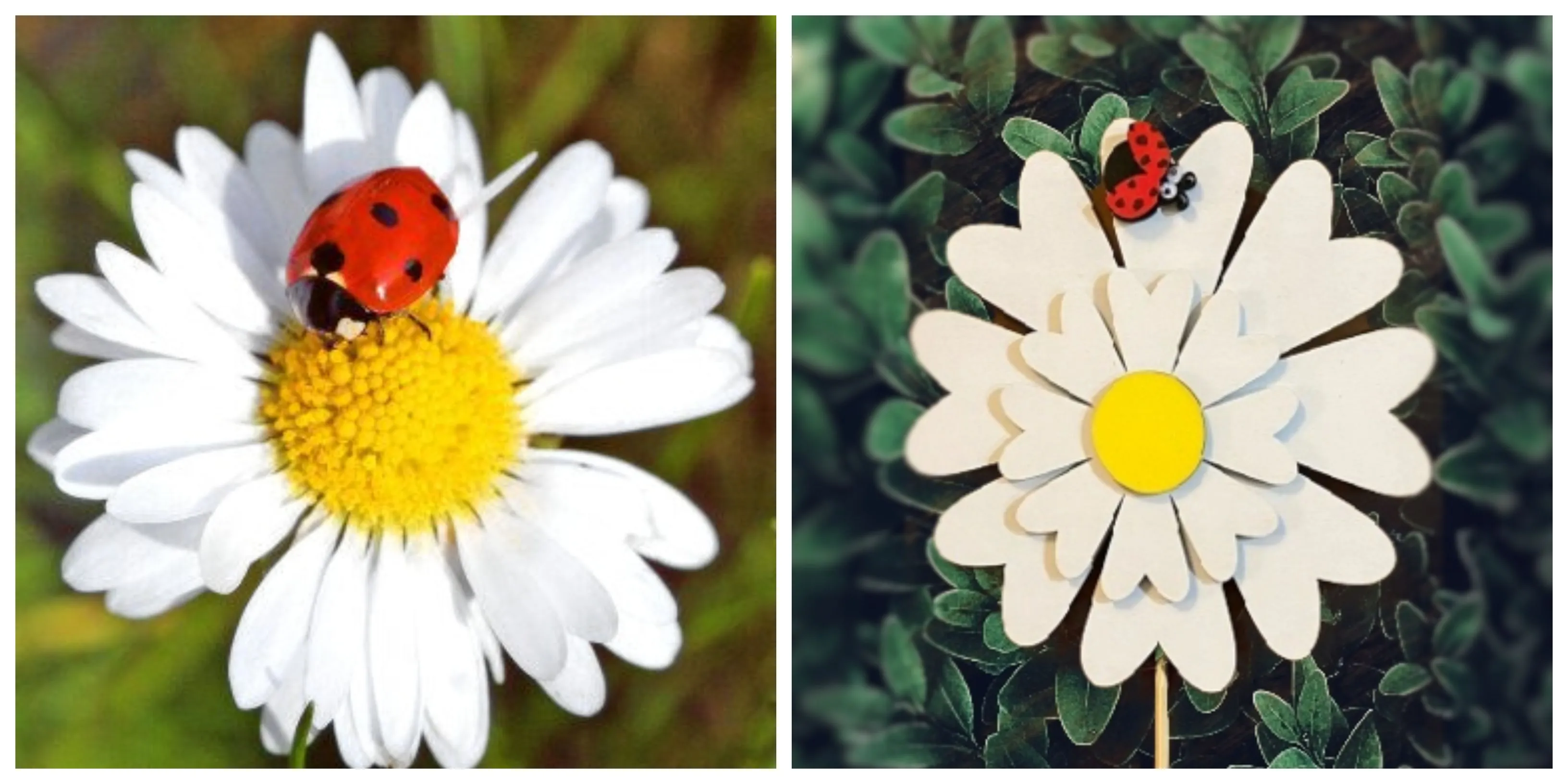 Shimmering Daisy and Ladybug Wooden Garden Stake