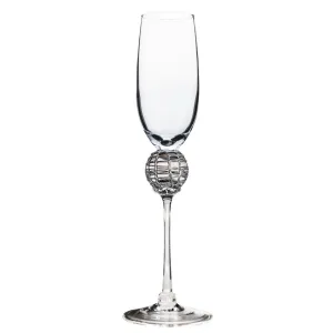 Silver Latitude Champagne Flute