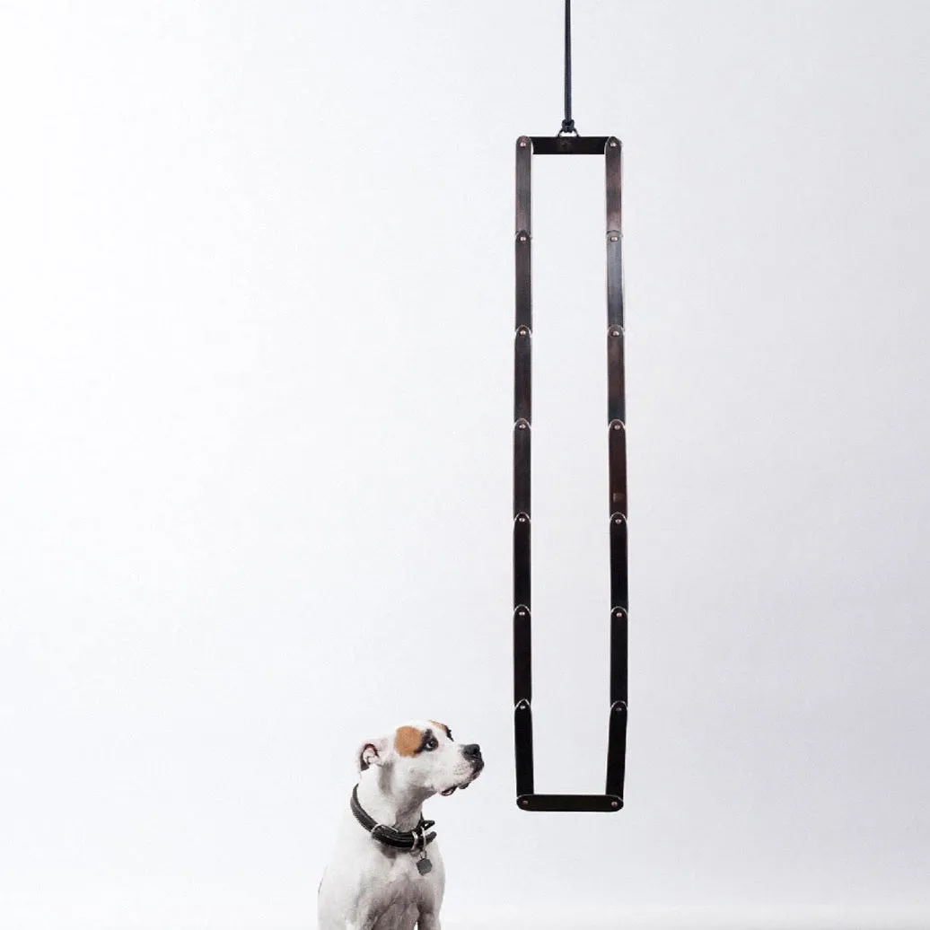 Sir Tangle I, 2011