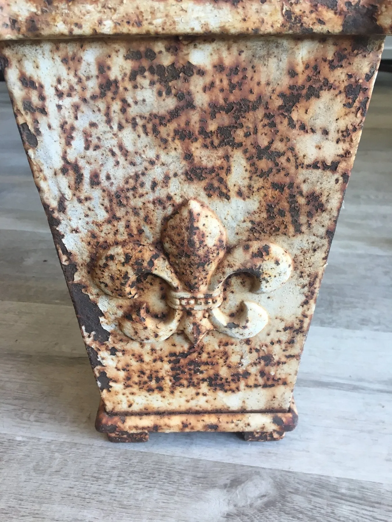 Small Iron 19th Century French Planter - Fleur-de-Lis