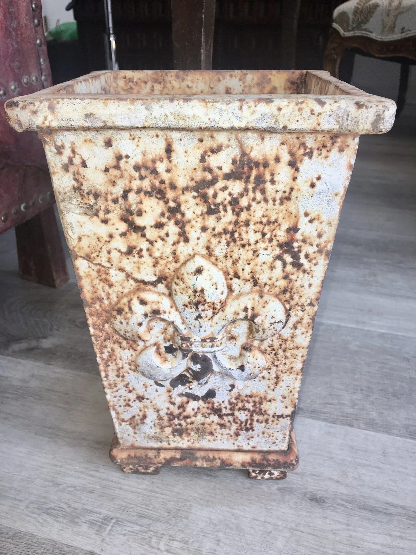 Small Iron 19th Century French Planter - Fleur-de-Lis