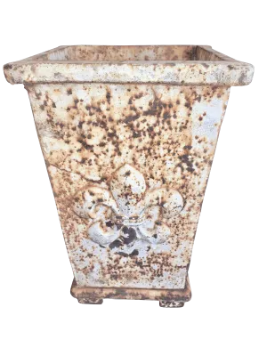 Small Iron 19th Century French Planter - Fleur-de-Lis