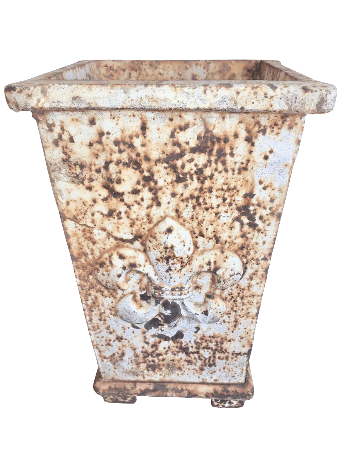 Small Iron 19th Century French Planter - Fleur-de-Lis