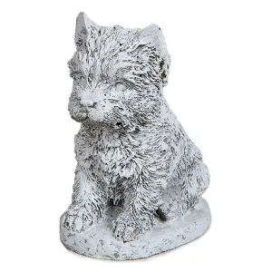 Small Terrier