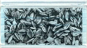 Sunflower Seeds Mask