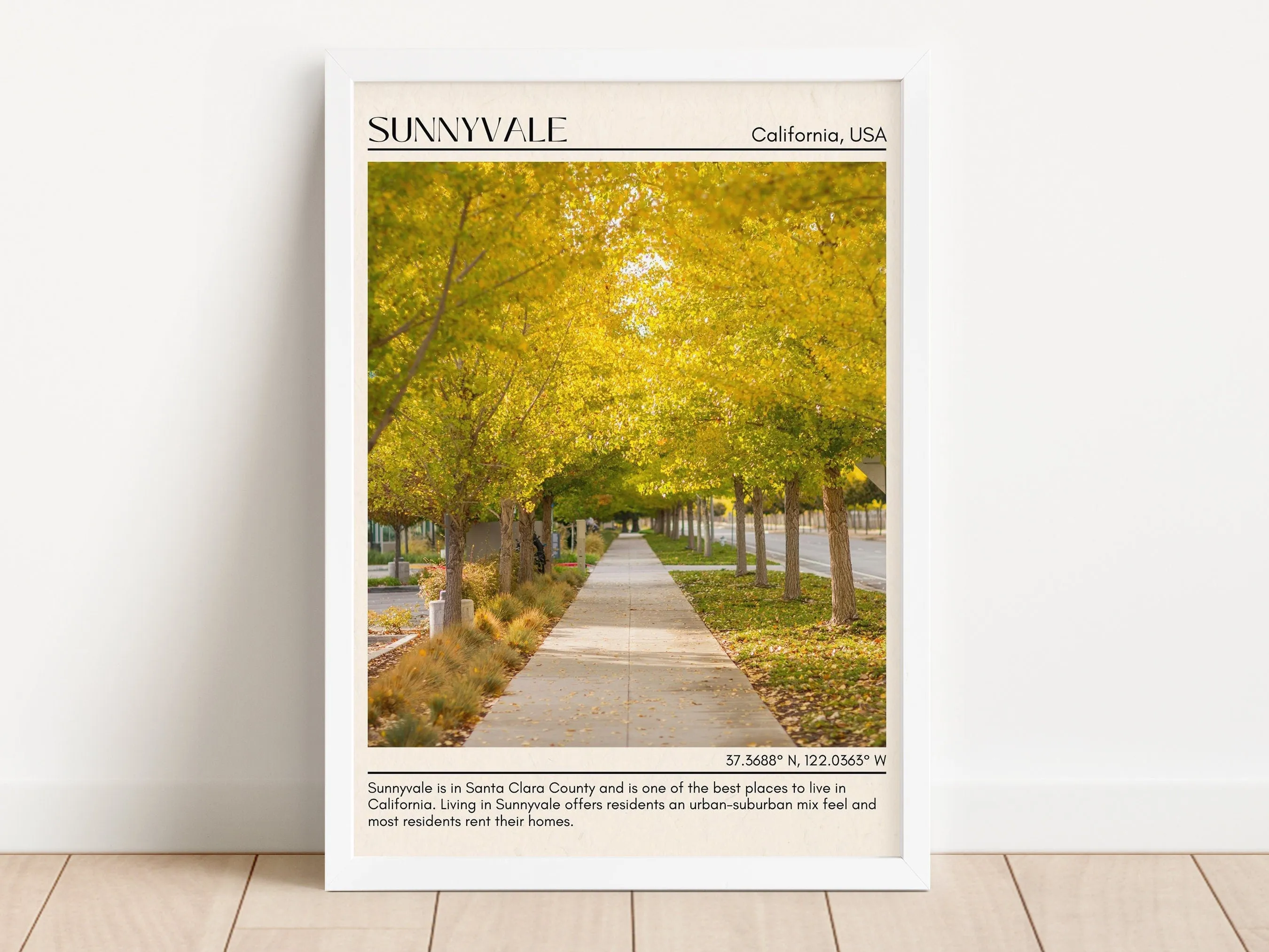 Sunnyvale Minimal Wall Art, California, USA