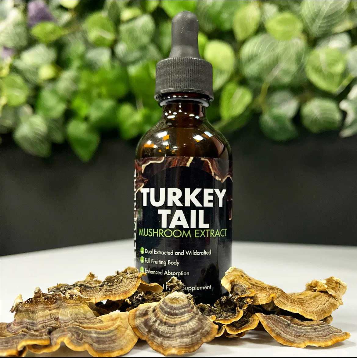 Turkey Tail Mushroom Extract (60ml)