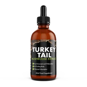 Turkey Tail Mushroom Extract (60ml)