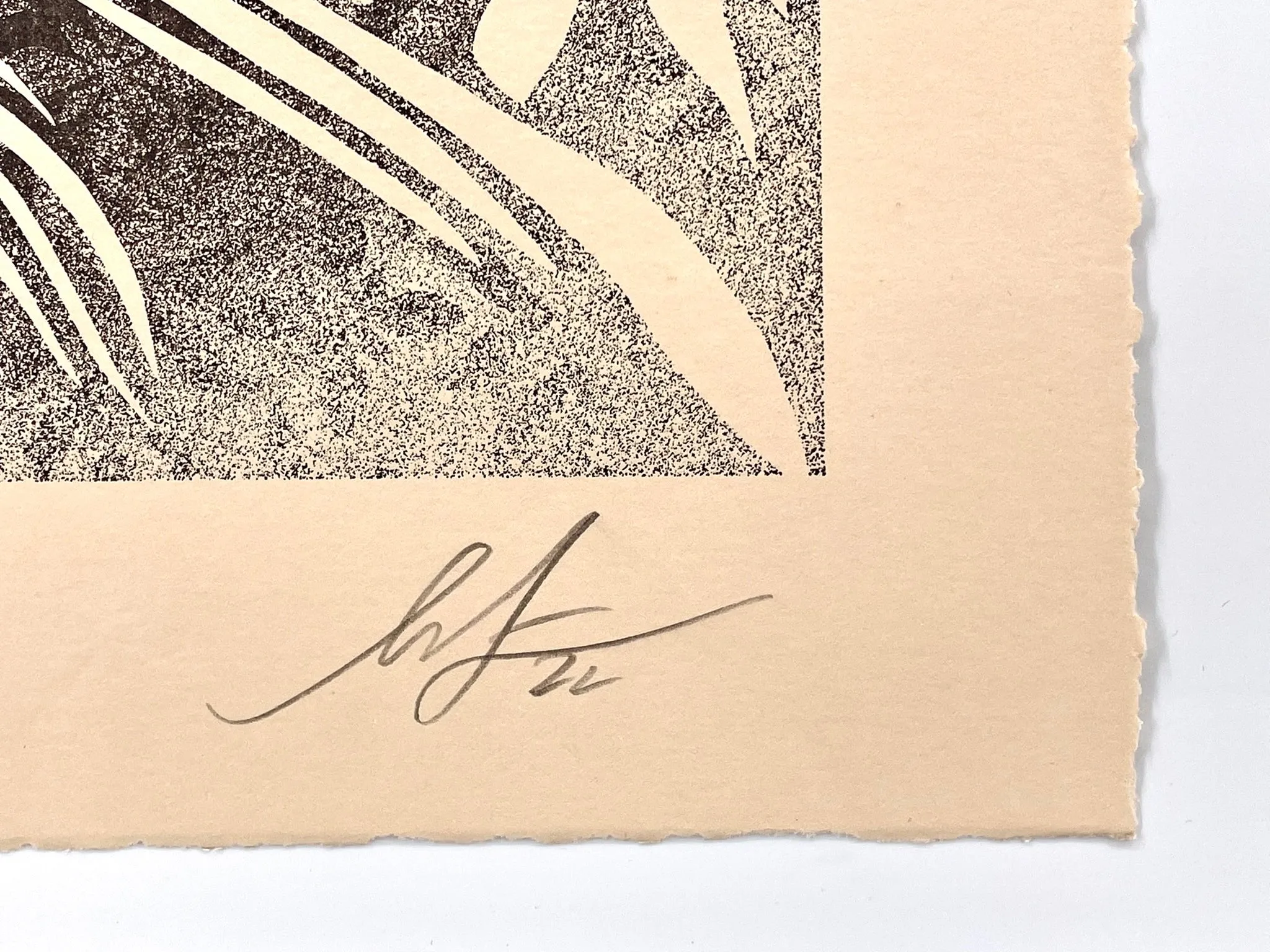 Universal Dignity (Letterpress)