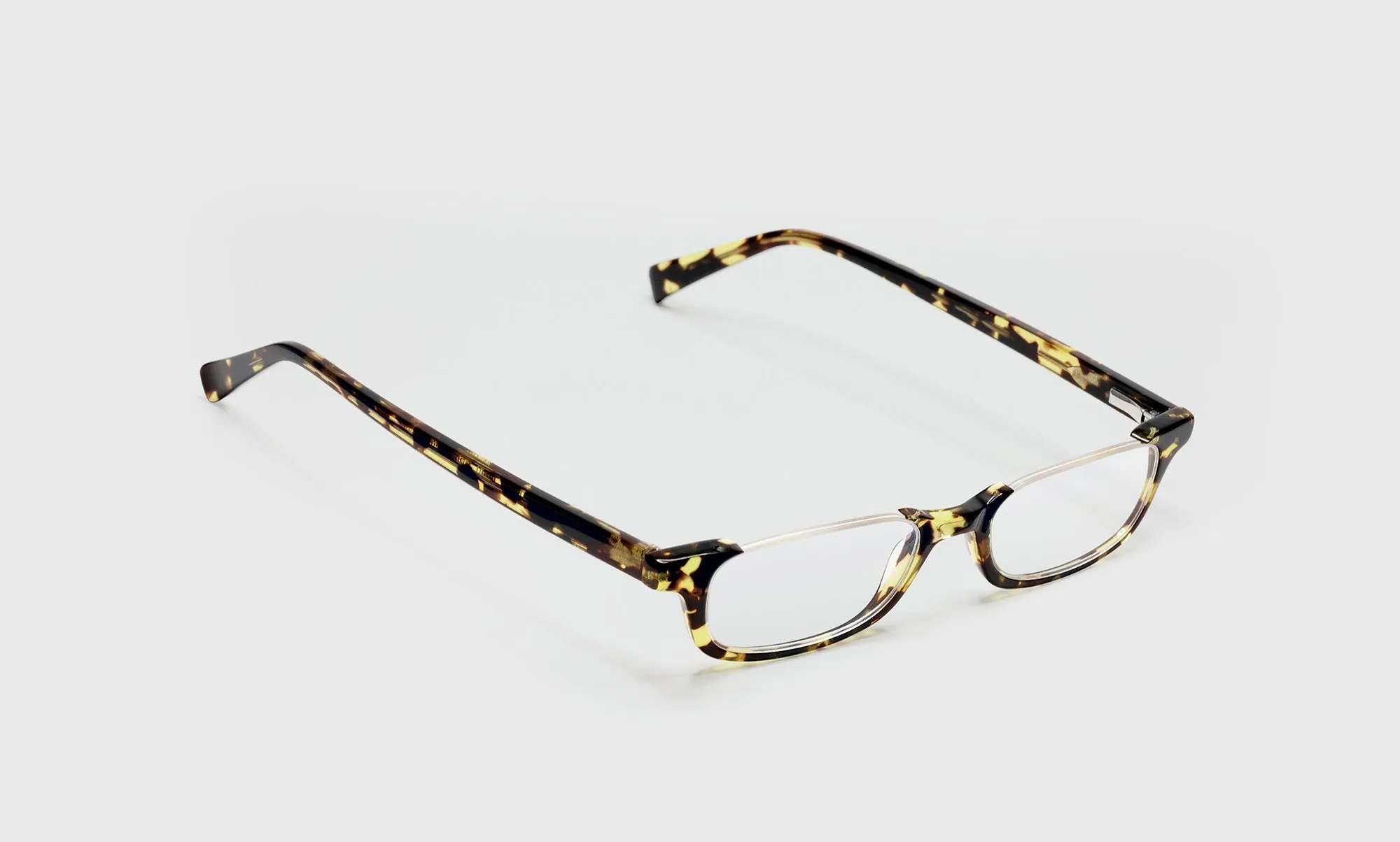 What Inheritance? Prescription Glasses