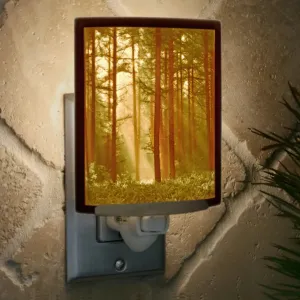 Woodland Sunbeams Porcelain Lithophane Colored Night Light